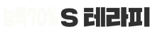 S테라피