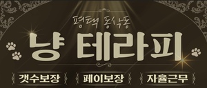 평택 냥테라피